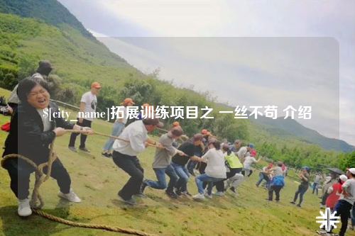 淄博拓展训练项目之 一丝不苟 介绍